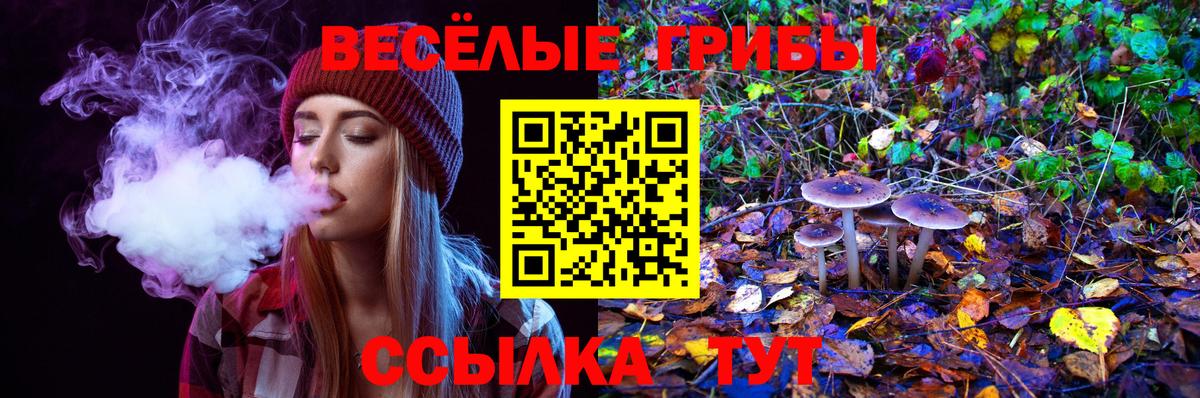 Псилоцибиновые грибы Psilocybe  Вход с VPN  Вичуга  Псилоцибиновые грибы MAGIC MUSHROOMS 