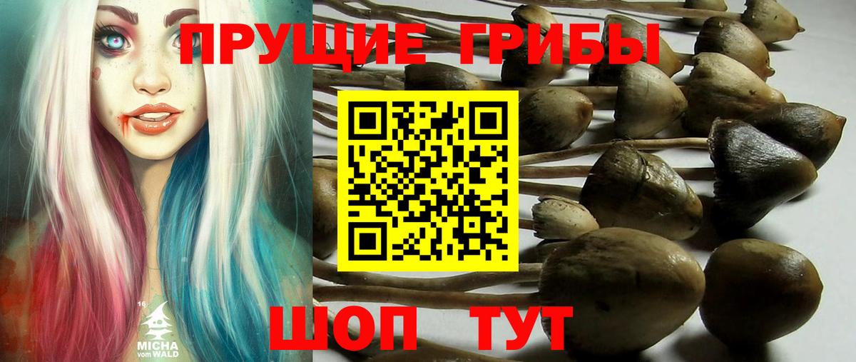 Псилоцибиновые грибы MAGIC MUSHROOMS Вичуга